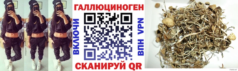 Галлюциногенные грибы Psilocybine cubensis  Каменск-Шахтинский 